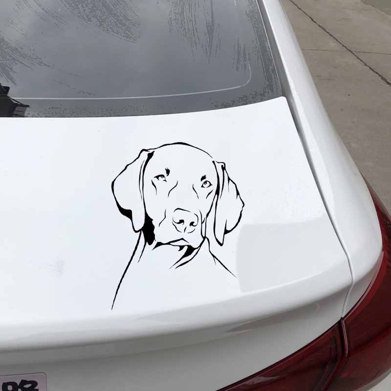 Motorcycle Gear For Dogs - Stiker Vinyl PVC Tahan Air Bentuk