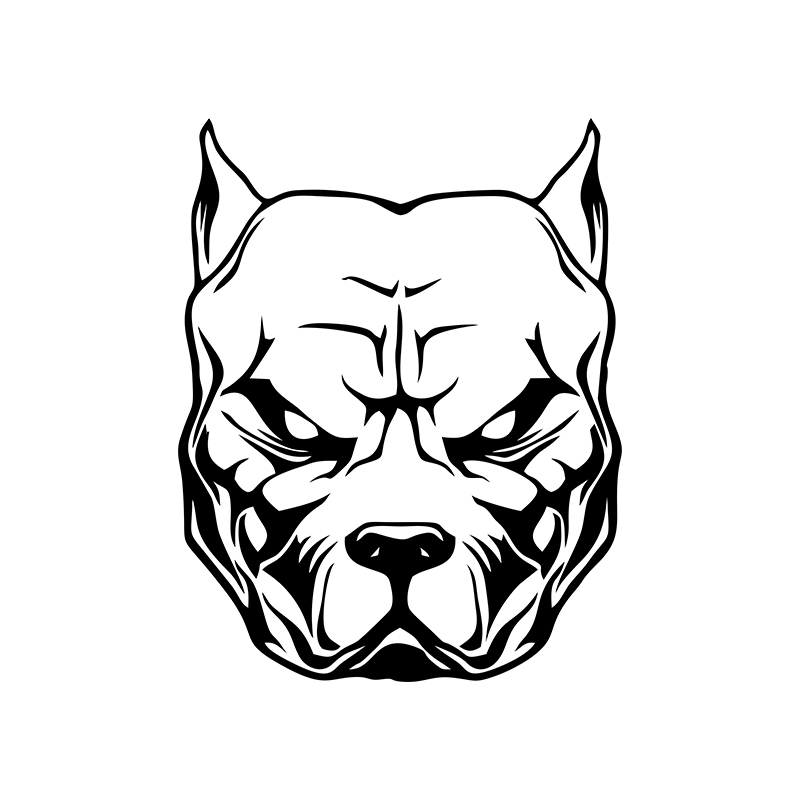 Stiker motor pola anjing pit b - Motorcycle Gear For Dogs ulasan dan harga