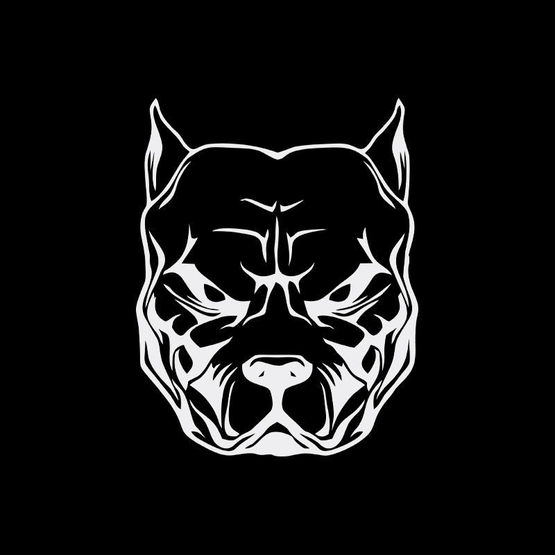 Stiker motor pola anjing pit b - Motorcycle Gear For Dogs ulasan dan harga