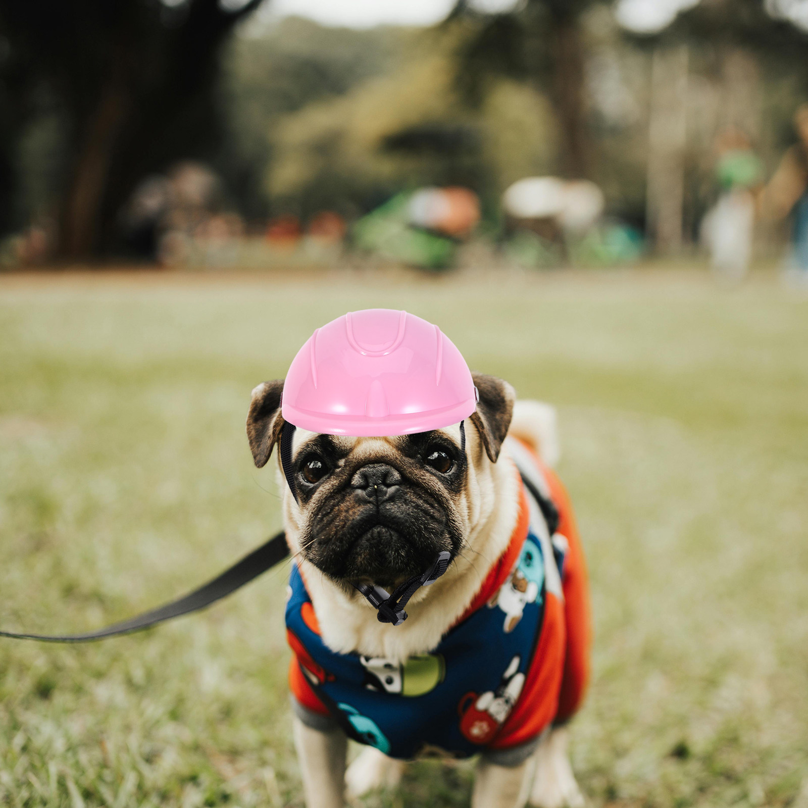 Topi Pelindung Motor untuk Anj - Motorcycle Gear For Dogs ulasan dan harga