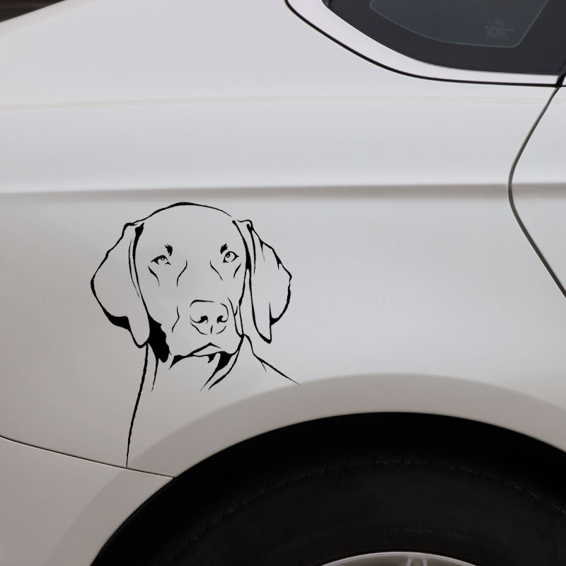 Stiker Vinyl PVC Tahan Air Ben - Motorcycle Gear For Dogs ulasan dan harga