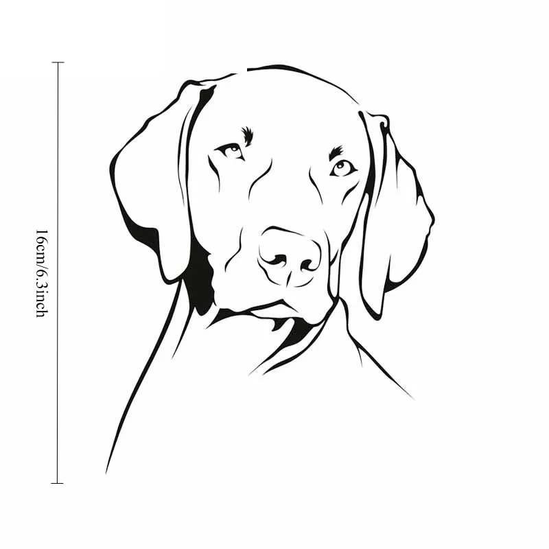 Stiker Vinyl PVC Tahan Air Ben - Motorcycle Gear For Dogs ulasan dan harga