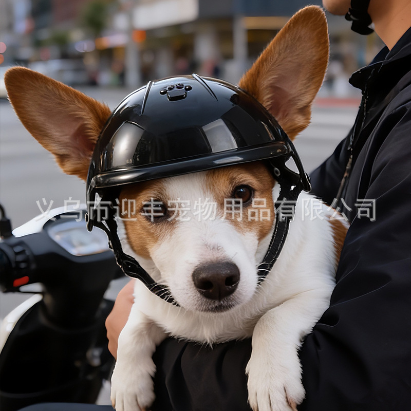 Helm Hewan Peliharaan Sepeda M - Motorcycle Gear For Dogs ulasan dan harga