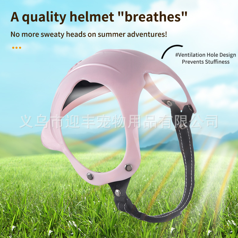 Helm Hewan Peliharaan Sepeda M - Motorcycle Gear For Dogs ulasan dan harga