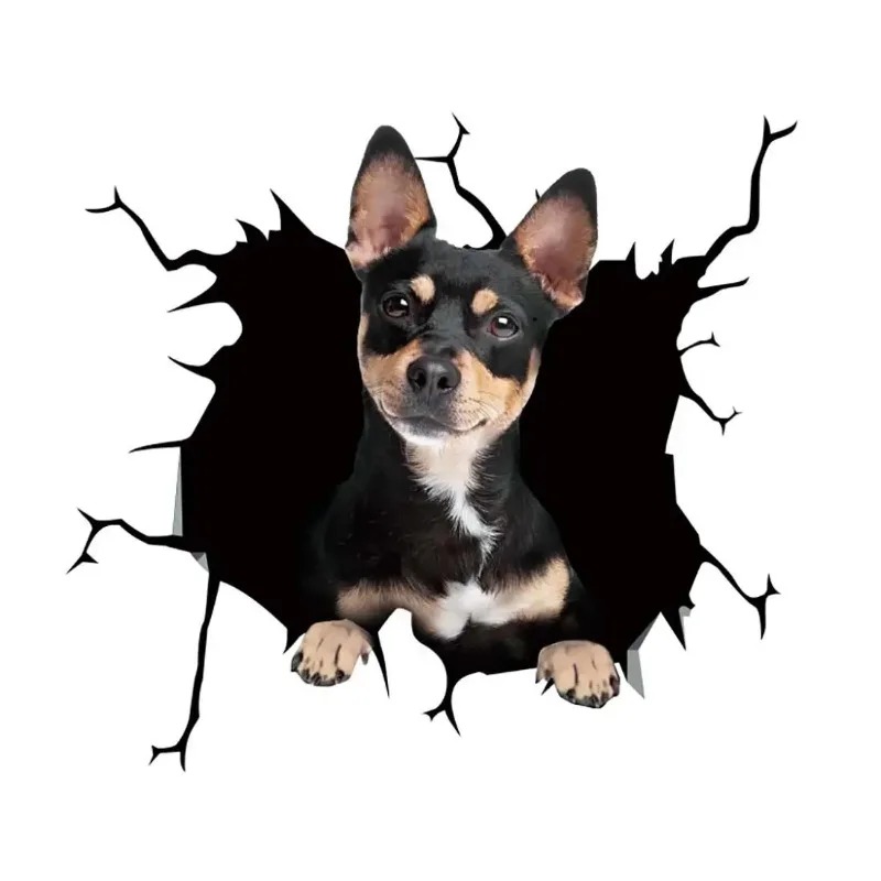 1 Buah Stiker Anjing Bulldog P - Motorcycle Gear For Dogs ulasan dan harga