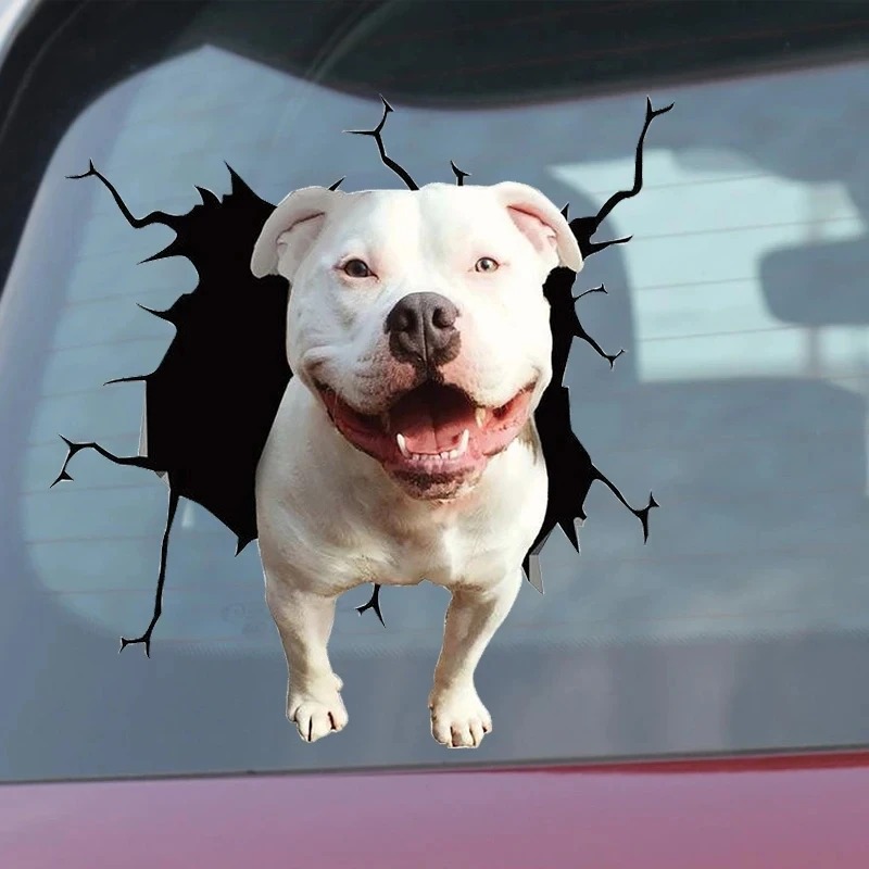 1 Buah Stiker Anjing Bulldog P - Motorcycle Gear For Dogs ulasan dan harga